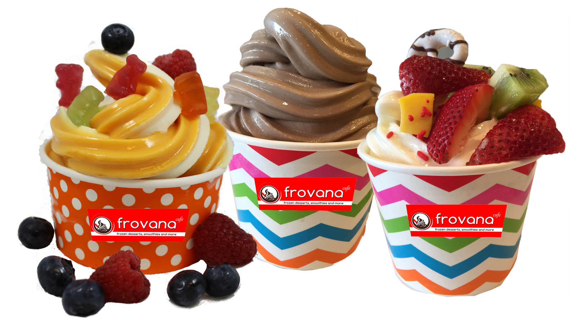 Frozen Yogurt (froyo)